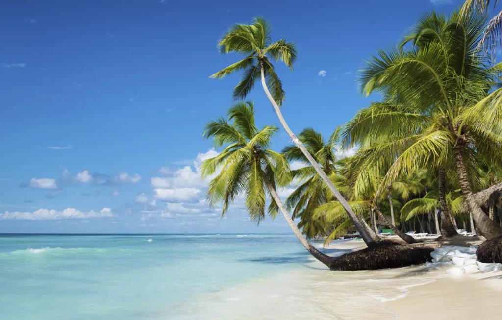 Tropical beach with palm trees in the foreground
