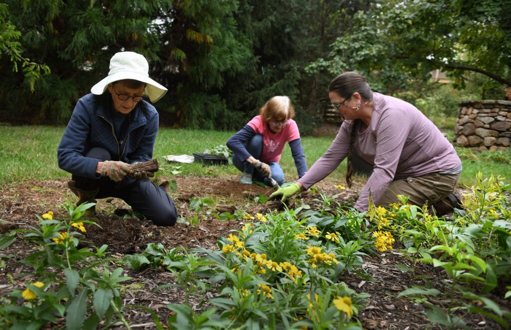 Arboretum Council Chair Claire Privitera (from left), community volunteer Pam Robinson and Horticulture Technician Tonya Judd work on the new garden.