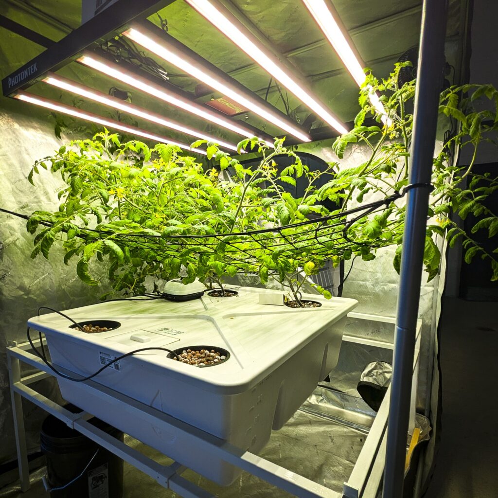 Hydroponic farming, like the display shown here from Blue Ridge Hydroponics in Salem, provides an innovative method of growing plants without soil, using nutrient-rich water and technology. Virginia Western will launch an eight-week hydroponics course starting February 19, 2025, to provide students with a comprehensive introduction to hydroponic farming.